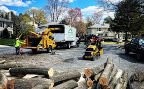 Best Tree Trimming and Pruning  in Neptune Beach, FL